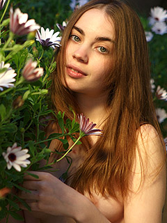 Sofy Bee in Lovek